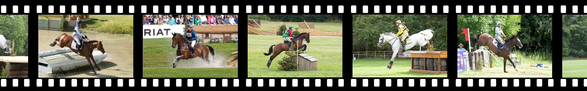Equines in Action - Eventing Header
